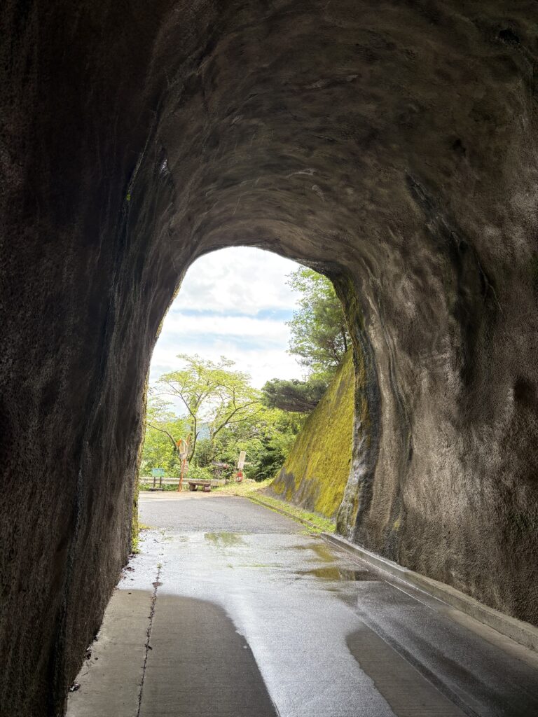 日本に帰ってきて