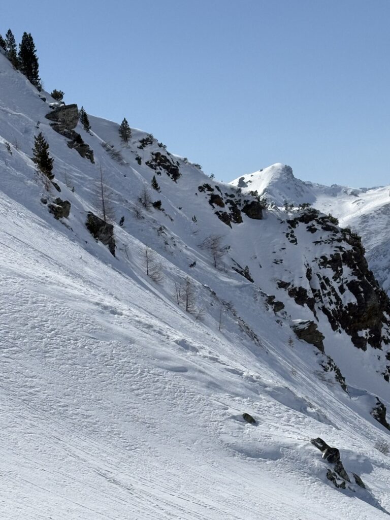 10位、プロとアマチュア